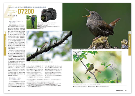 野鳥撮影2.png