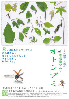 OtoshibumiFlyer.jpg