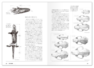 植物色素フラボノイド: 文一総合出版の書籍案内